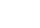 constituent icon
